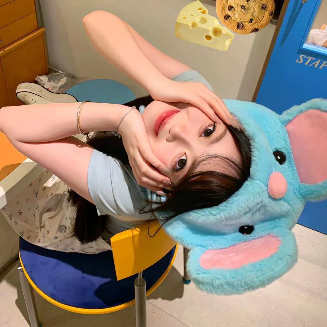 玫瑰骑士